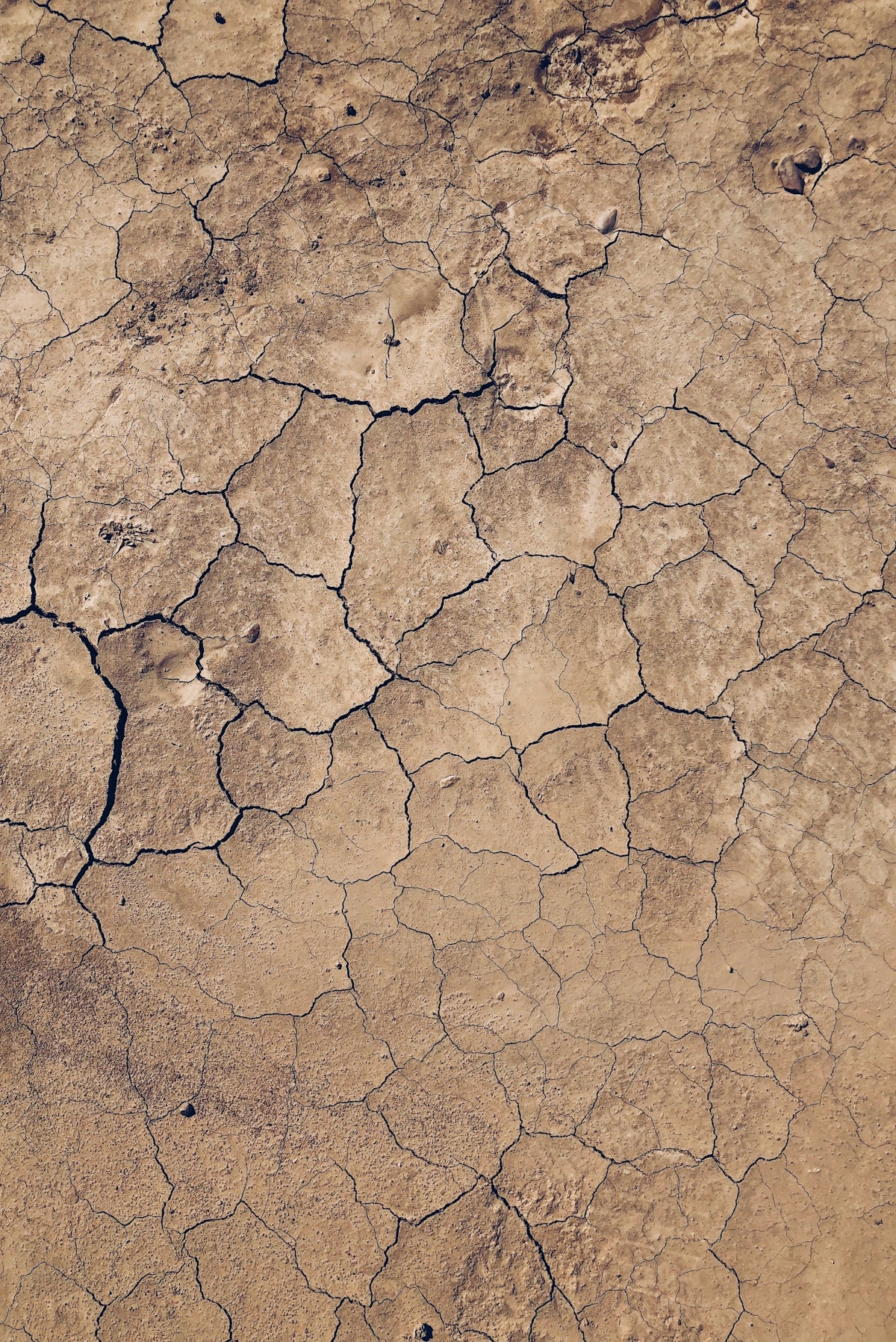 A pattern of deep cracks across dry brown earth