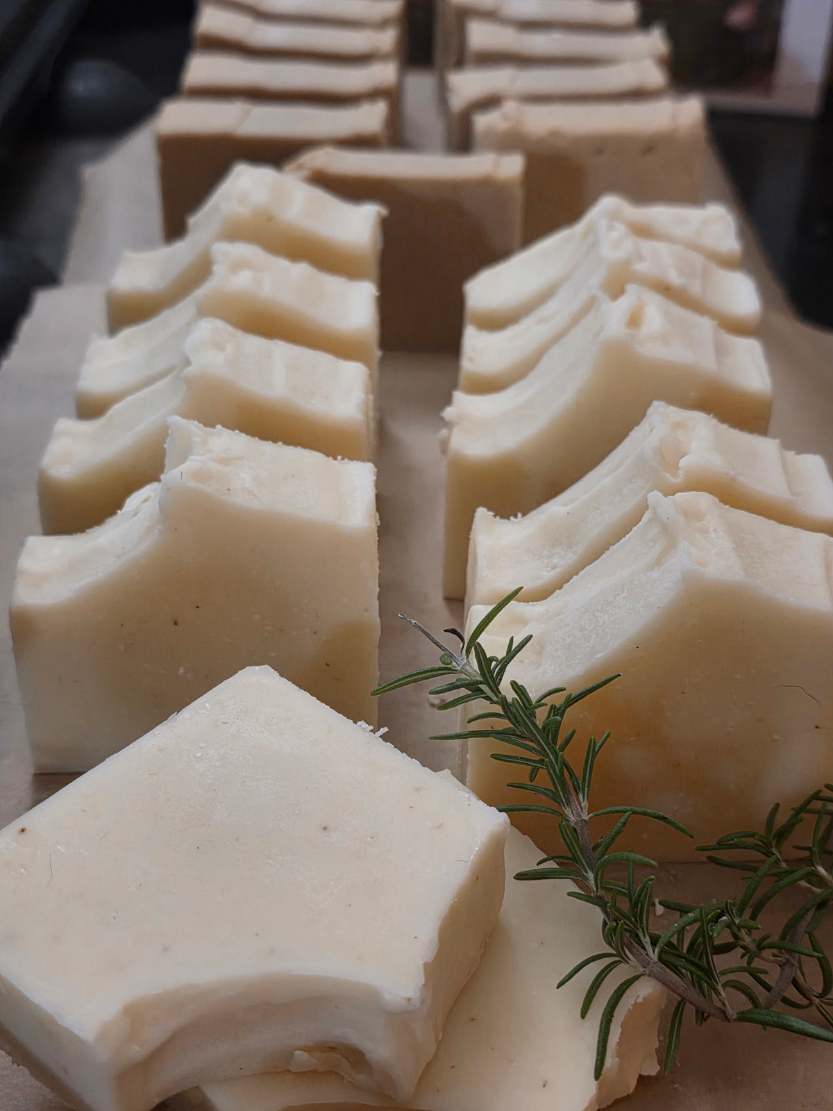 Rosemary & Neroli Tallow-Infused Shampoo Bar | Botanical Scalp & Hair Care