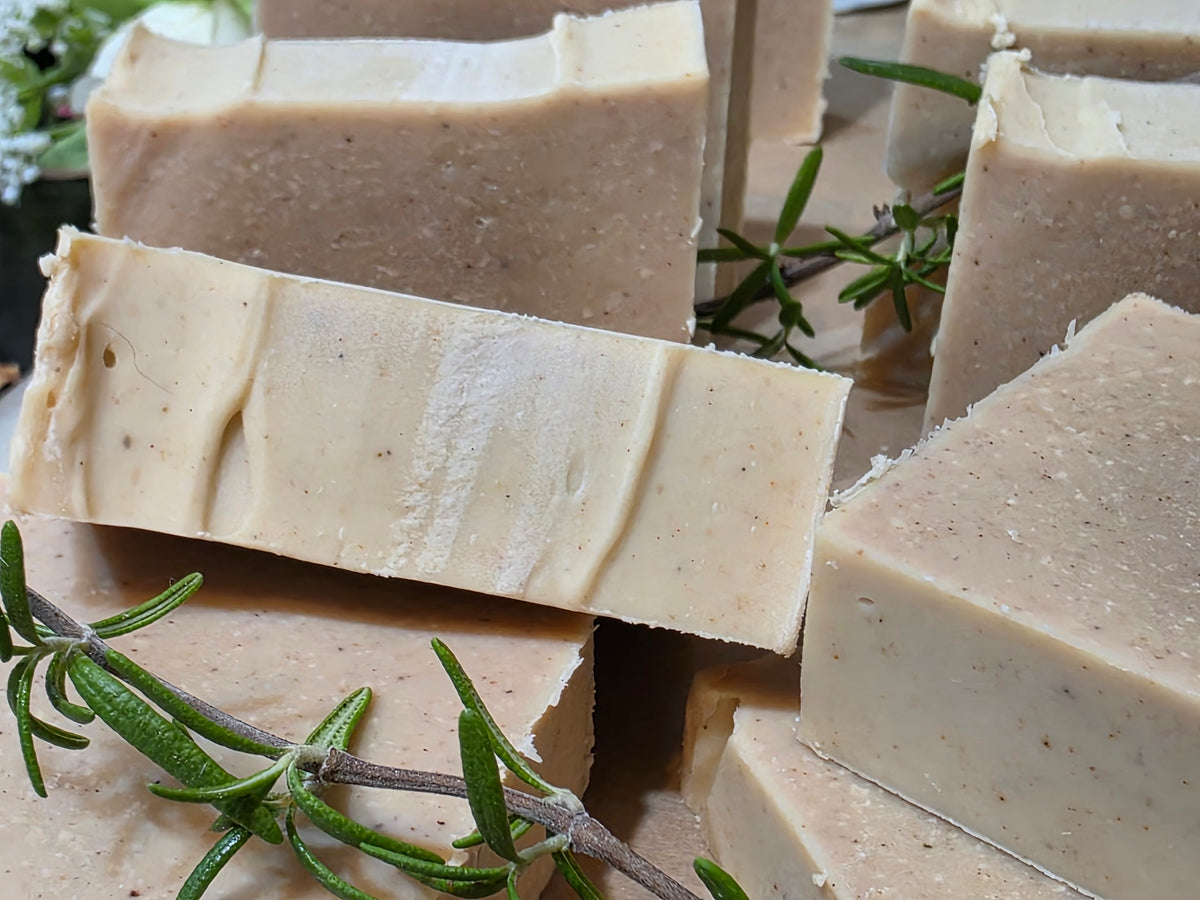 Rosemary & Cloves Botanical-Infused Tallow Shampoo Bar